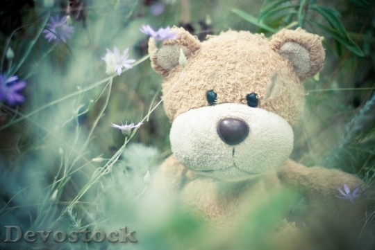 Devostock Flowers Grass Teddy Bear 10532 4K