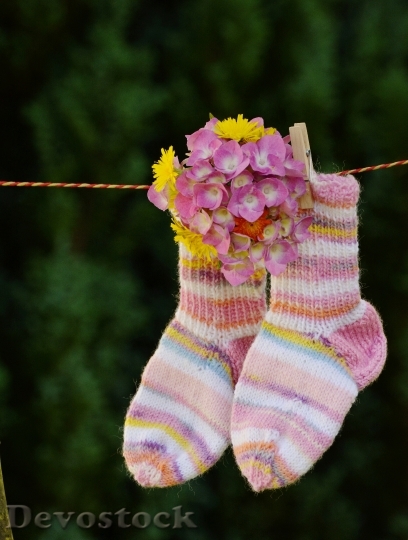 Devostock Flowers Hanging Socks 16038 4K
