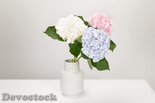 Devostock Flowers Vase Decor Interior 87012 4K.jpeg