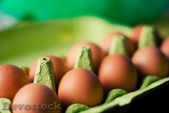Devostock Food Eggs 883 4K