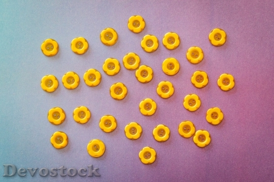 Devostock Food Flowers Pattern 133960 4K