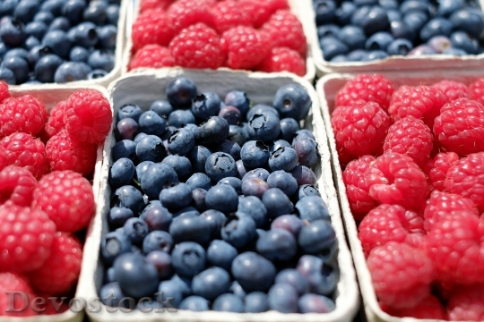 Devostock Food Fruits Blueberries 12242 4K