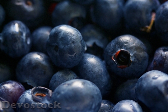 Devostock Food Healthy Blueberries 13949 4K