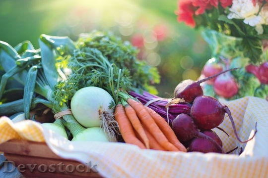Devostock Food Healthy Vegetables 53360 4K