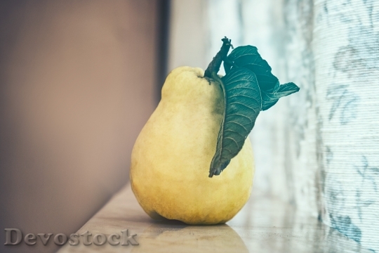 Devostock Food Leaf Fruit 92733 4K