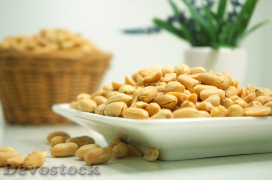 Devostock Food Plate Nuts 3945 4K