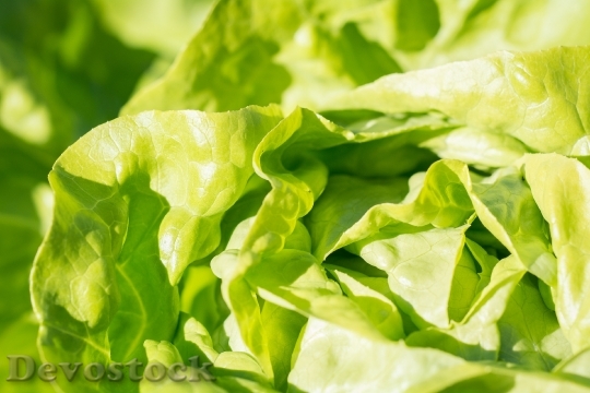 Devostock Food Salad Healthy 20856 4K