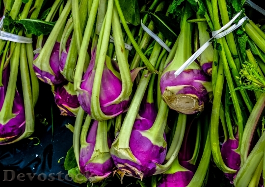 Devostock Food Vegetables Purple 9711 4K