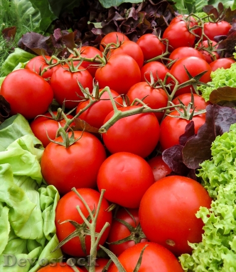 Devostock Food Vegetables Tomatoes 26583 4K