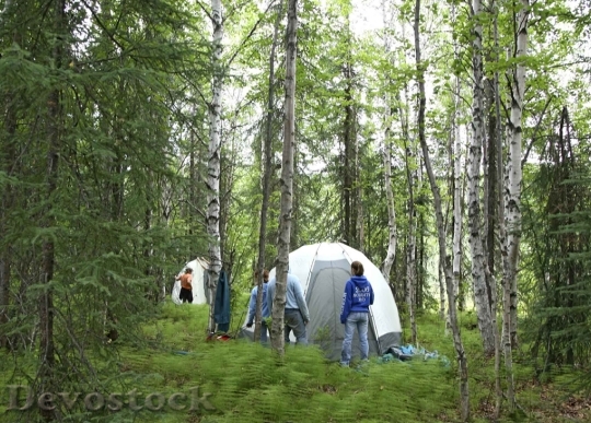 Devostock Forests Science Camp Set HD
