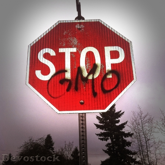 Devostock Gmo Science Stop Food HD