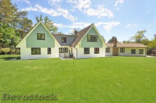 Devostock House Grass Lawn 25952 4K