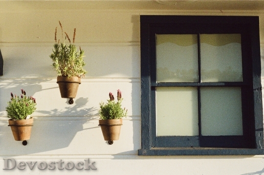 Devostock House Window Flowerpots 239 4K