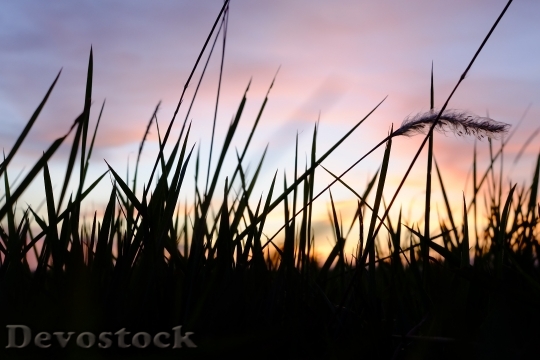 Devostock Landscape Nature Sunset 79381 4K