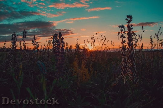 Devostock Landscape Sunset Water 97704 4K