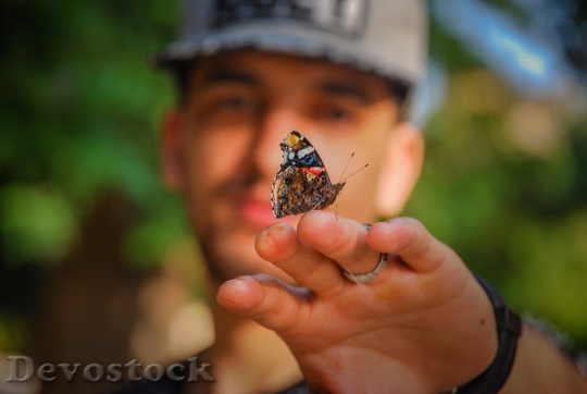 Devostock Light Nature Animal Man butterfly 4K