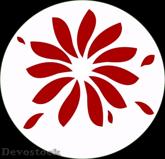 Devostock Logo (113) HQ