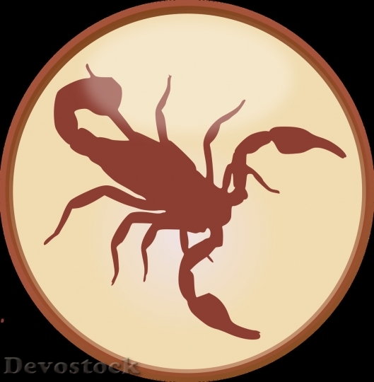 Devostock Logo (31) HQ