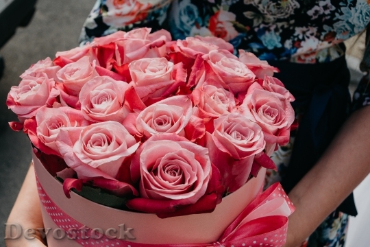 Devostock Love Romantic Flowers 123342 4K