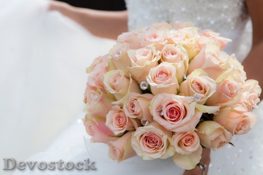 Devostock Love Romantic Flowers 31397 4K
