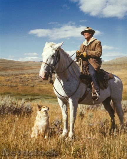 Devostock Man Person Field Dog Horse Cowboy 4K