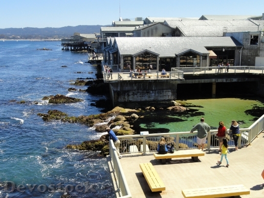 Devostock Monterey Bay Aquarium Monterey HD