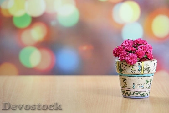 Devostock Party Pot Flowerpot 119118 4K
