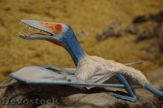 Devostock Pterosaur Prehistoric Times Dinosaur HD
