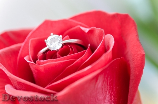Devostock Red Love Romantic 63357 4K