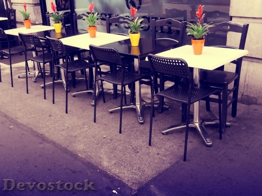 Devostock Restaurant Street Flowers 42508 4K
