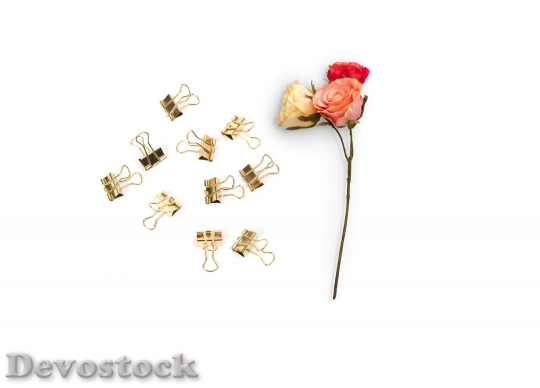 Devostock Romantic Flowers Paper Clips 90426 4K