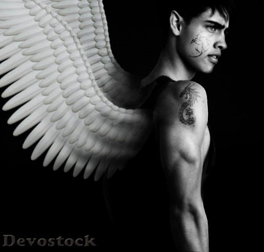 Devostock Wings Warrior Boy Tattoo HD