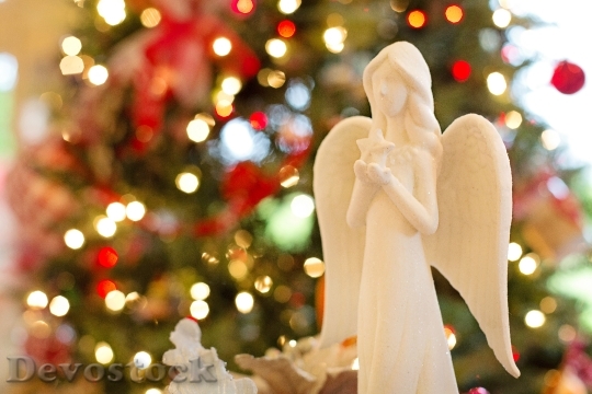 Devostock Angel Christmas Christmas ngel 4K