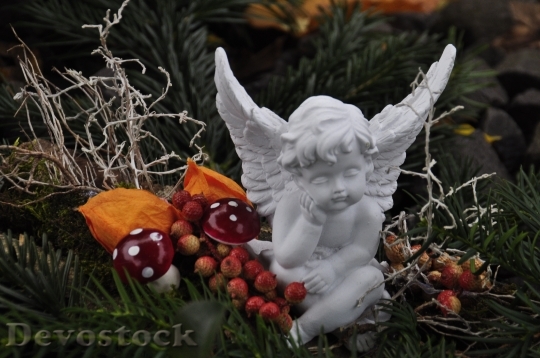 Devostock Angel Christmas Winter Atumn 4K