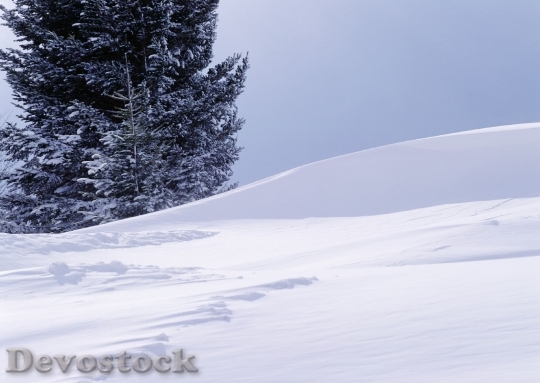 Devostock Beautiful Winter Landcape 4K