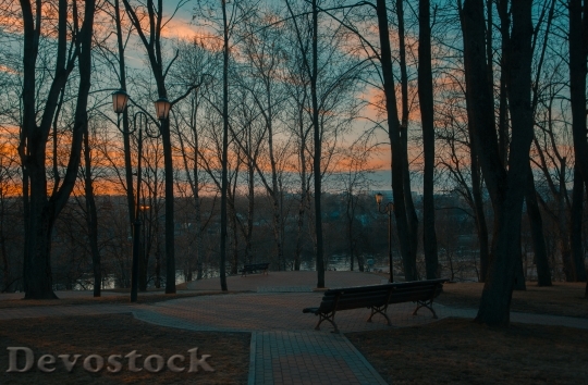 Devostock Bench Landscape Sunset 82608 4K
