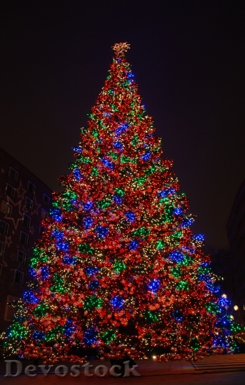 Devostock Berlin Christmas Tree 128533 4K