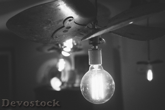 Devostock Black And White Lights Light Bulb Idea 4K