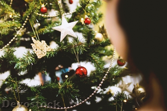 Devostock Blur Decoration Christmas 23042 4K