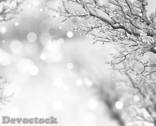 Devostock BRANCHES WOOD SNOW COVERED LIGHT BULBS