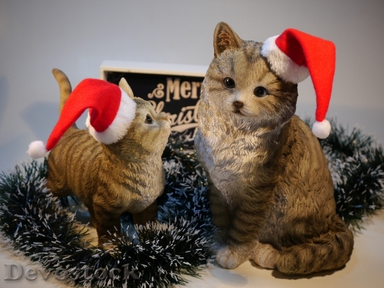 Devostock Cat Christmas Nicholas 165761 4K