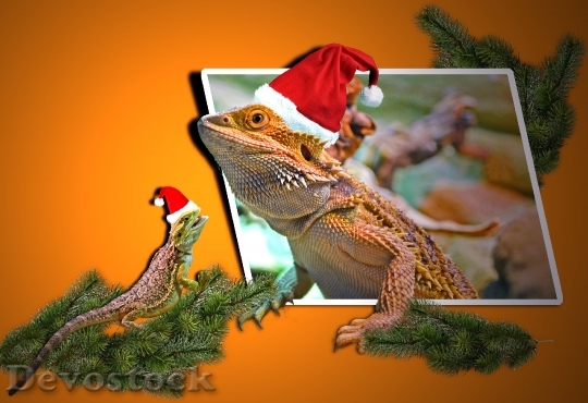 Devostock Christmas Animals Lizards Aamas 4K