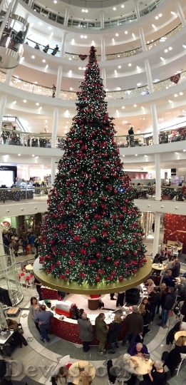 Devostock Christmas Christmas Tree 112177 4K