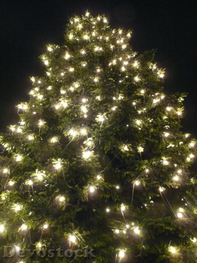 Devostock Christmas Christmas Tree 1511 4K