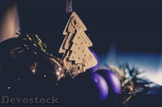 Devostock Christmas Decoration 92355 4K