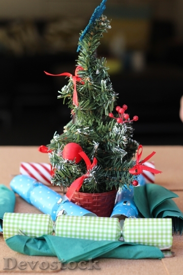 Devostock Christmas Decoration Tree Hoiday 4K