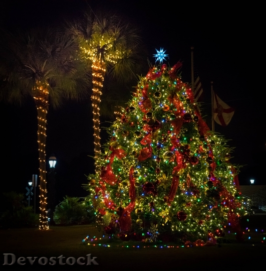 Devostock Christmas Decorations FloridaNeon 4K