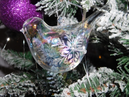 Devostock Christmas Glass Bird Ornment 4K