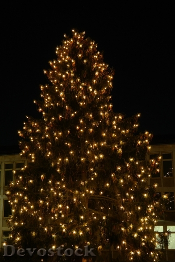 Devostock Christmas Lichterkette Tree 22192 4K