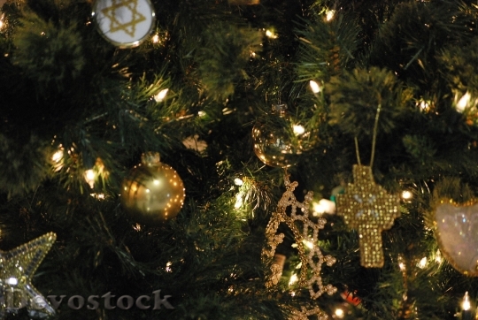 Devostock Christmas Lights Decorations 93732 4K